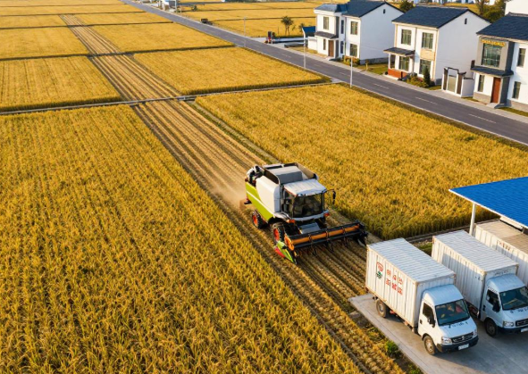 马年复工各地抢抓“十五五”开局 高质量发展春潮涌动